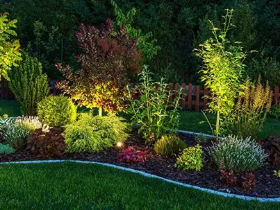 An illuminated garden at night