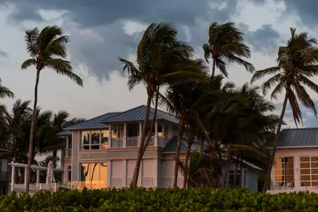 palm trees sway by a house under stormy skies